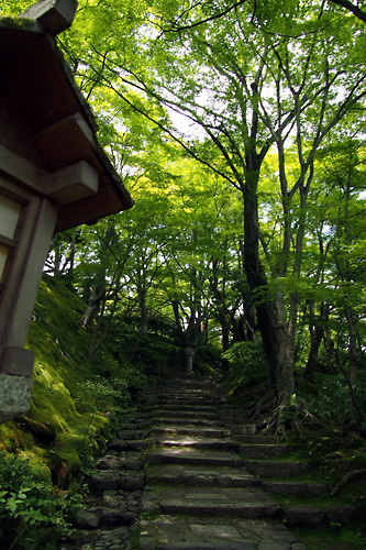 201505常寂光寺02