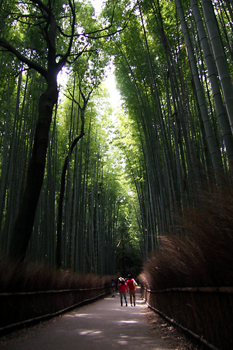 201505嵯峨野の竹林01.jpg