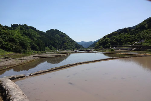 201705東峰村の棚田？