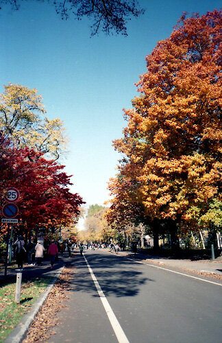 202110-xa-北海道大学05