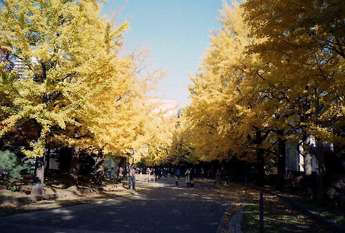 202110-xa-中島公園01