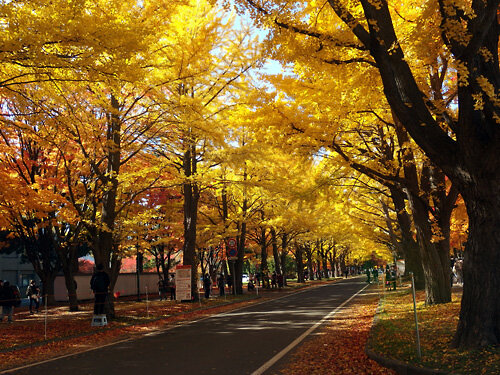 20211030北海道大学02