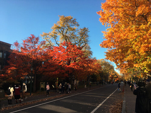 20211030北海道大学03