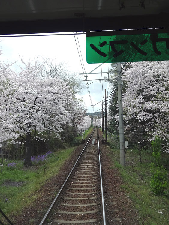 2024嵐電、鳴滝－宇多野間