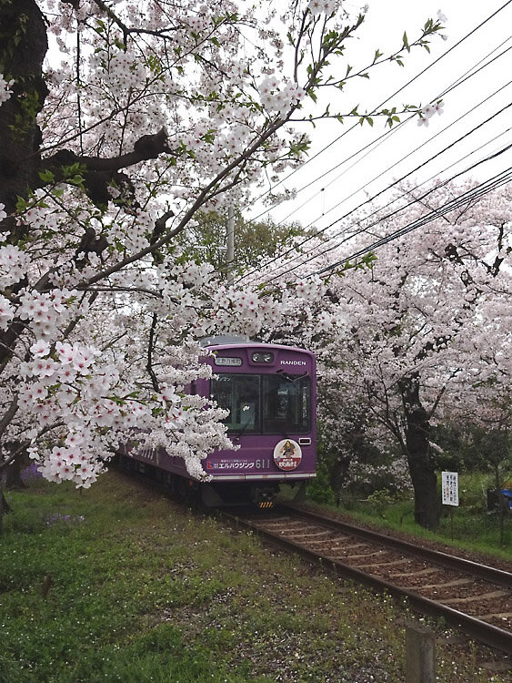 2024嵐電　宇多野－鳴滝間の踏切脇から