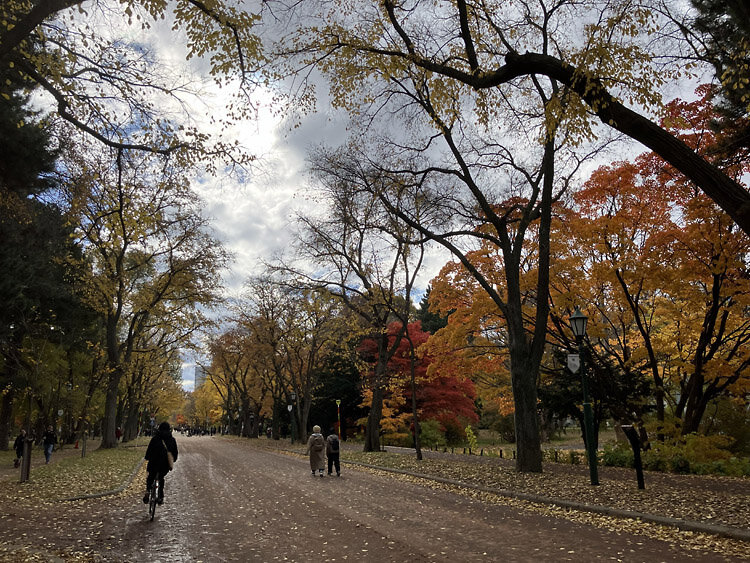 202511北大の紅葉03