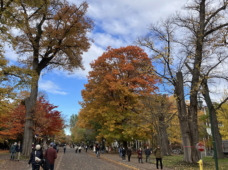 202511北大の紅葉04